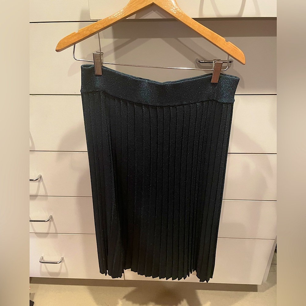 Green Sparkly Holiday Pleated Skirt